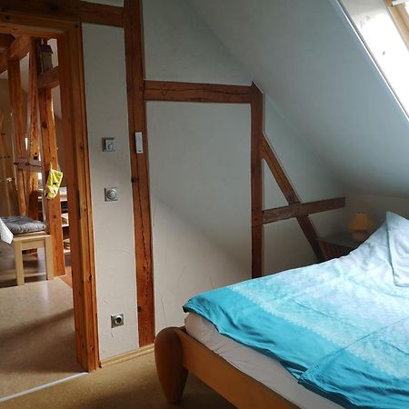 Ferienwohnung Im Vogelhaus Mit Dachterasse Und Grossem Garten Calau Zewnętrze zdjęcie