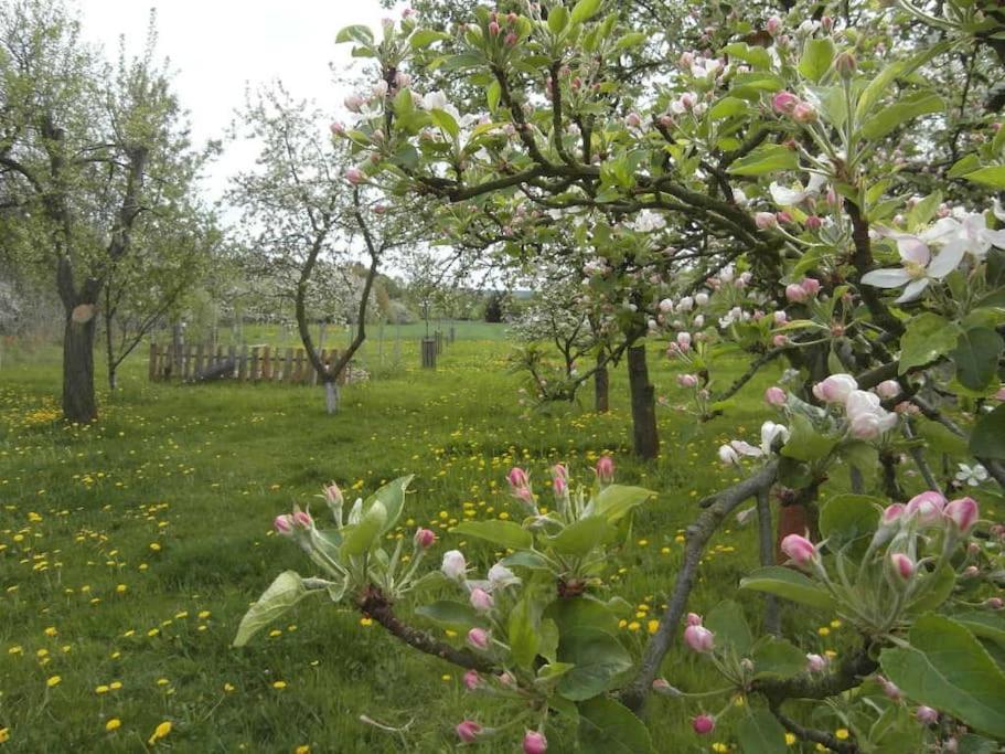 Ferienwohnung Im Vogelhaus Mit Dachterasse Und Grossem Garten Calau Zewnętrze zdjęcie