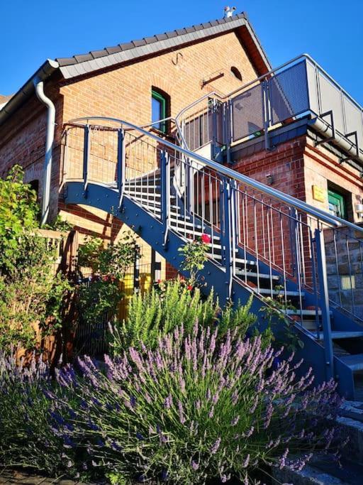 Ferienwohnung Im Vogelhaus Mit Dachterasse Und Grossem Garten Calau Zewnętrze zdjęcie