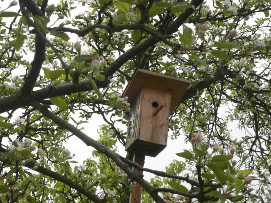 Ferienwohnung Im Vogelhaus Mit Dachterasse Und Grossem Garten Calau Zewnętrze zdjęcie