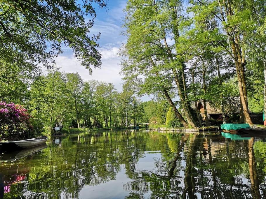 Ferienwohnung Im Vogelhaus Mit Dachterasse Und Grossem Garten Calau Zewnętrze zdjęcie