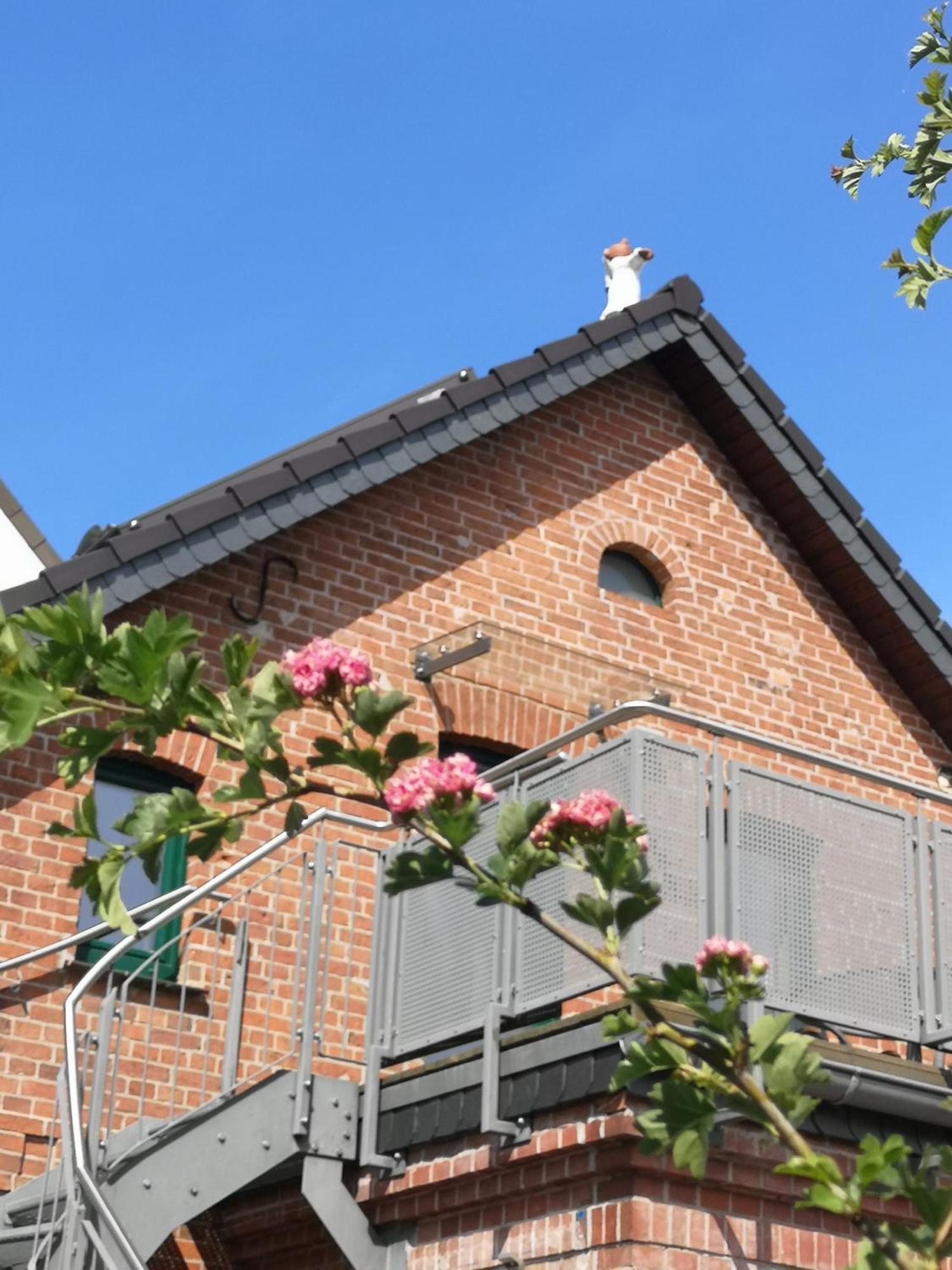 Ferienwohnung Im Vogelhaus Mit Dachterasse Und Grossem Garten Calau Zewnętrze zdjęcie