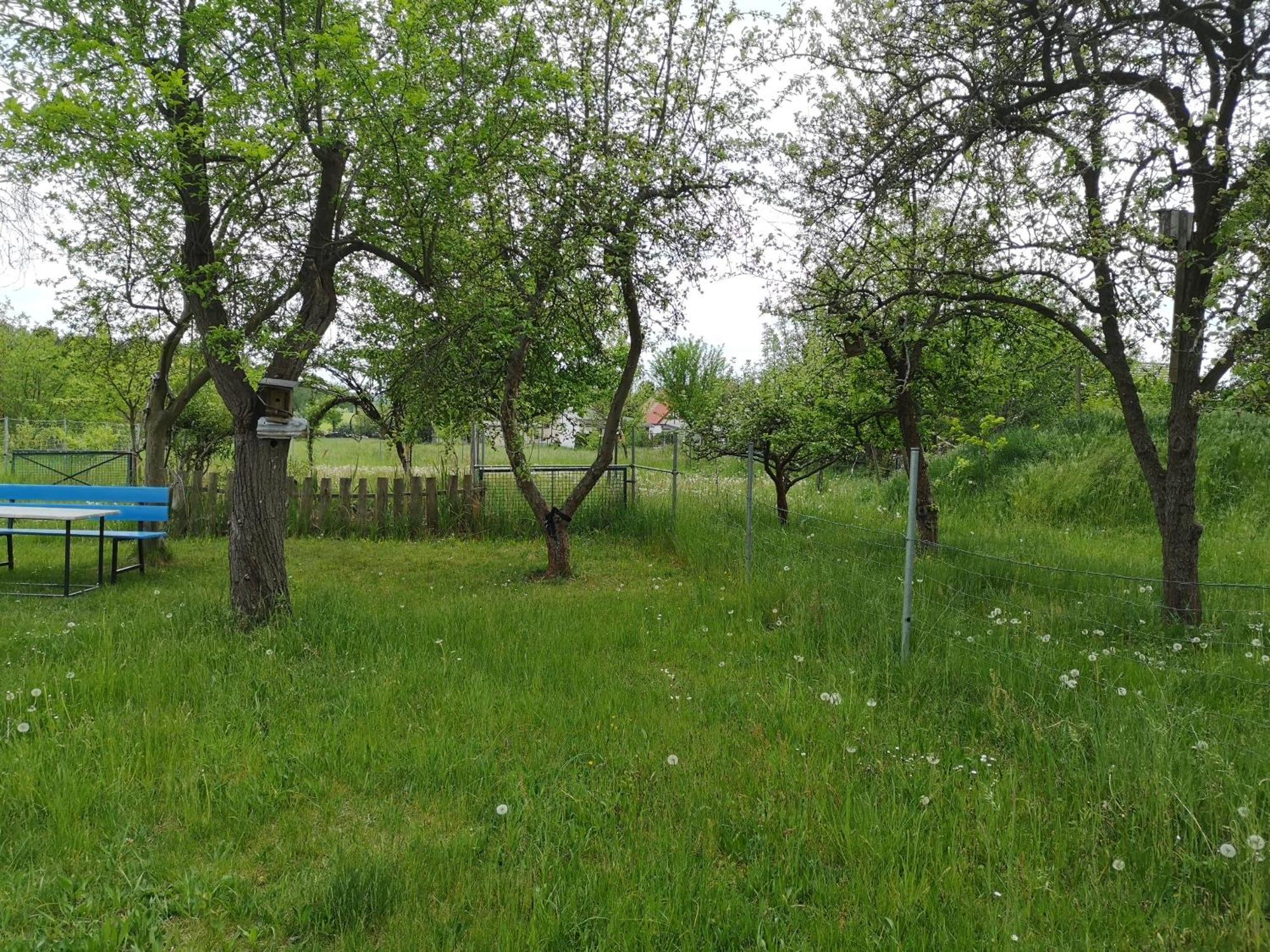 Ferienwohnung Im Vogelhaus Mit Dachterasse Und Grossem Garten Calau Zewnętrze zdjęcie