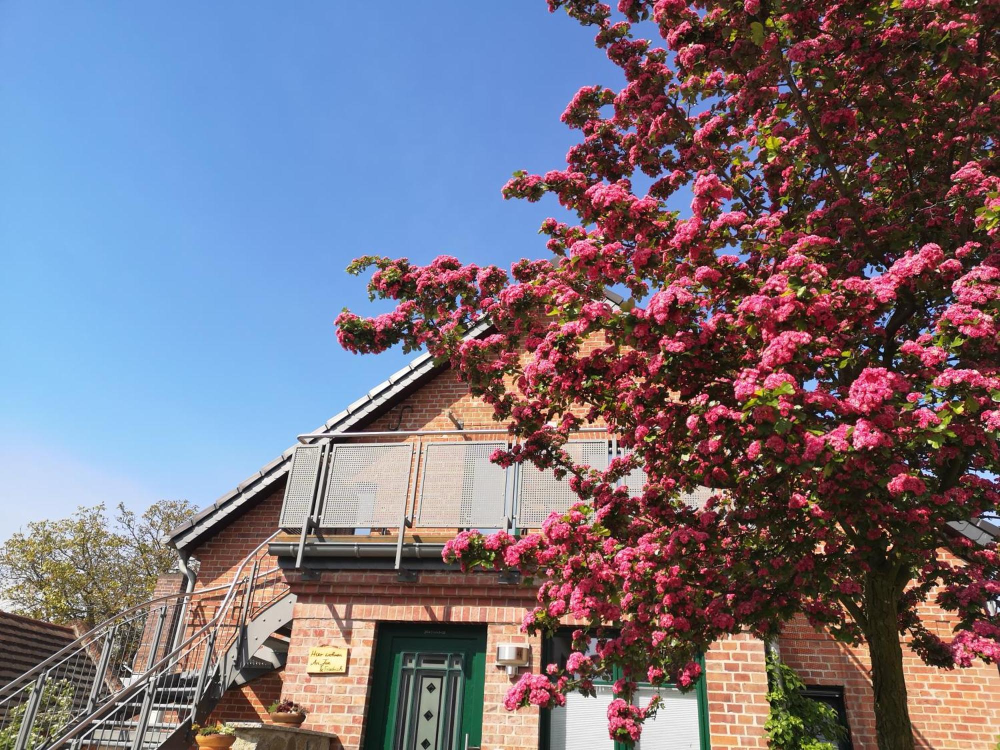Ferienwohnung Im Vogelhaus Mit Dachterasse Und Grossem Garten Calau Zewnętrze zdjęcie