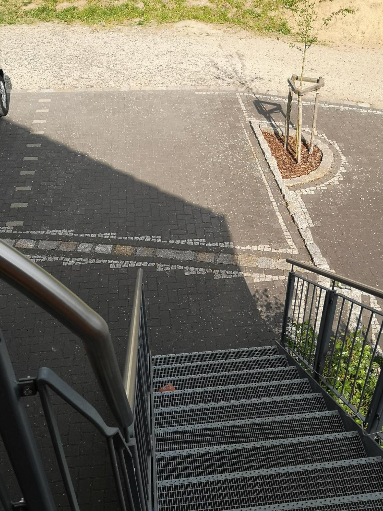 Ferienwohnung Im Vogelhaus Mit Dachterasse Und Grossem Garten Calau Zewnętrze zdjęcie